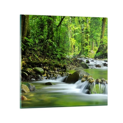 Obraz na skle - Plávať morom zelene - 40x40 cm