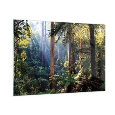 Obraz na skle - Poviedka lesa - 100x70 cm