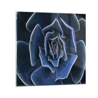 Obraz na skle - Púštny kvet - 70x70 cm