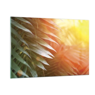 Obraz na skle - Ráno v džungli - 120x80 cm