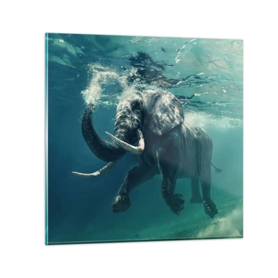 Obraz na skle - Všetci radi plávajú - 40x40 cm