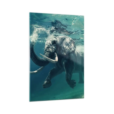 Obraz na skle - Všetci radi plávajú - 70x100 cm