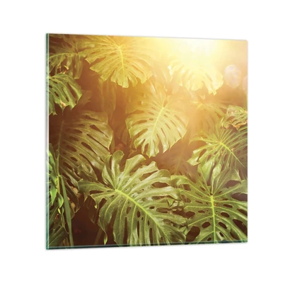 Obraz na skle - Vstúpiť do zelene… - 70x70 cm