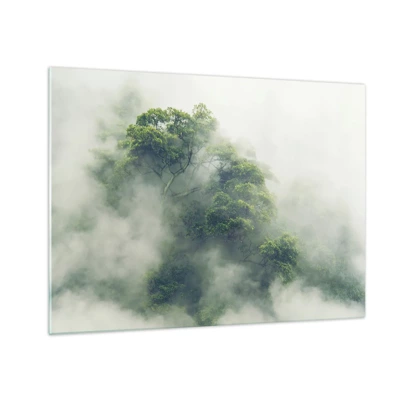 Obraz na skle - Zahalené hmlou - 70x50 cm