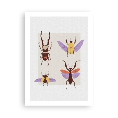 Plagát - Hmyzí svet - 50x70 cm