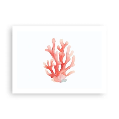 Plagát - Koralový koral - 70x50 cm