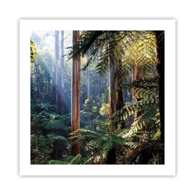 Plagát - Poviedka lesa - 50x50 cm