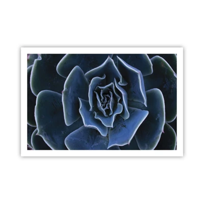 Plagát - Púštny kvet - 91x61 cm