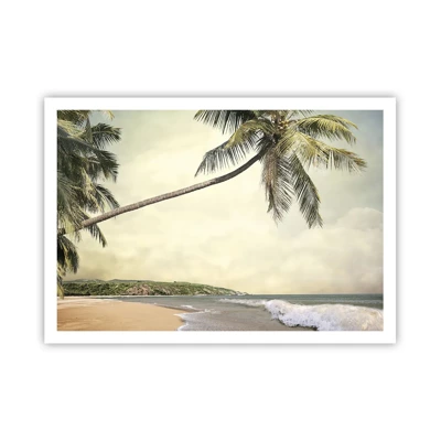 Plagát - Tropický sen - 100x70 cm