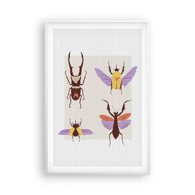 Plagát v bielom ráme - Hmyzí svet - 61x91 cm