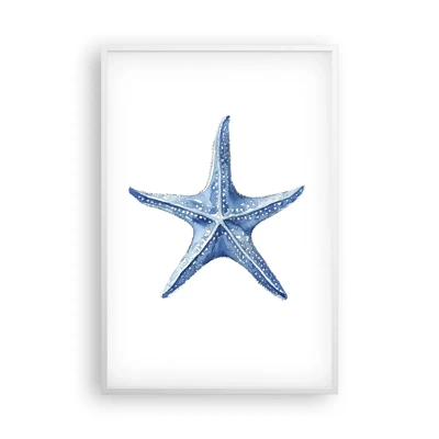 Plagát v bielom ráme - Hviezda mora - 61x91 cm