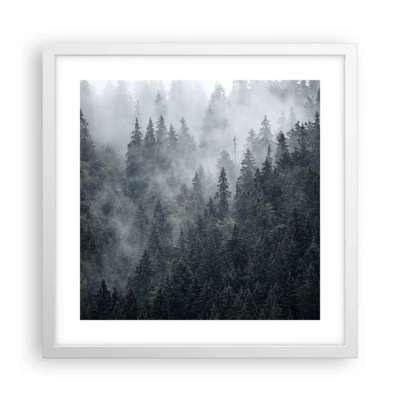 Plagát v bielom ráme - Lesné svitania - 40x40 cm