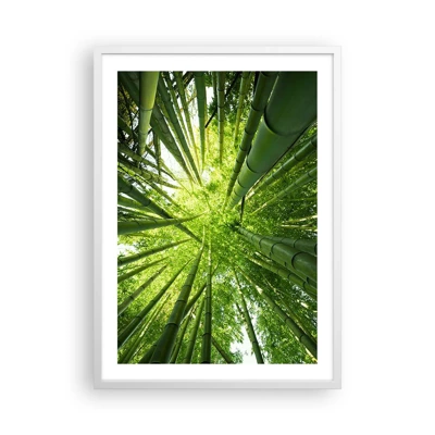 Plagát v bielom ráme - V bambusovom háji - 50x70 cm