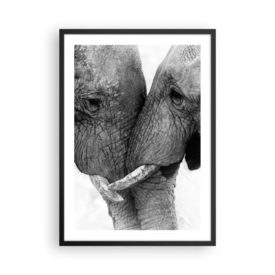 Plagát v čiernom ráme Arttor 50x70 cm - Úprimné vyznanie - Slon, Zvieratá, Afriky, Čierna A Biela, Láska, Do obývacej izby, Do spálne, biela,  Čierna, Zvislé, P2BPA50x70-4973