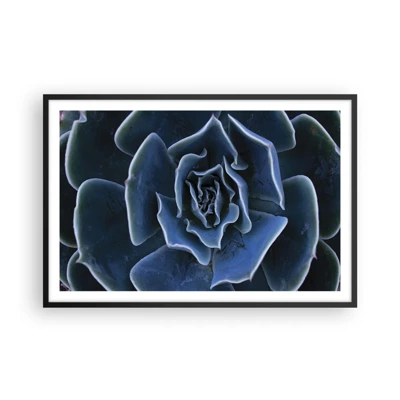 Plagát v čiernom ráme - Púštny kvet - 91x61 cm