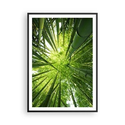 Plagát v čiernom ráme - V bambusovom háji - 70x100 cm