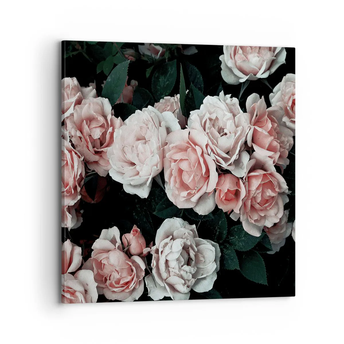 Obraz na plátne Arttor 70x70 cm - Ružový ansámbl - Kytica Kvetov, Rose, Kvety, Záhrada, Láska, Do obývacej izby, Do spálne, biela,  Čierna, Vodorovné, Plátno, AC70x70-4760
