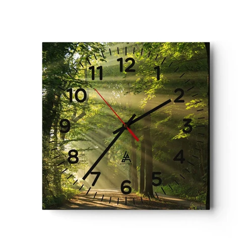 Nástenné hodiny - Lesný okamih - 40x40 cm