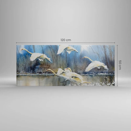 Obraz na plátne - Ako v poviedke o divokých labutiach - 120x50 cm
