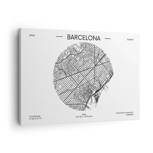 Obraz na plátne - Anatómia Barcelony - 70x50 cm