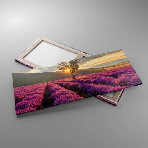 Obraz na plátne - Aróma vo fialovej - 120x50 cm