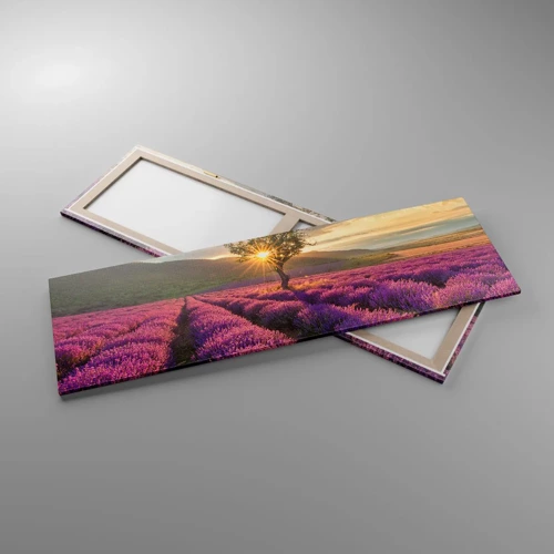 Obraz na plátne - Aróma vo fialovej - 160x50 cm