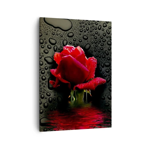 Obraz na plátne - Červené a čierne - 50x70 cm