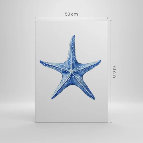 Obraz na plátne - Hviezda mora - 50x70 cm