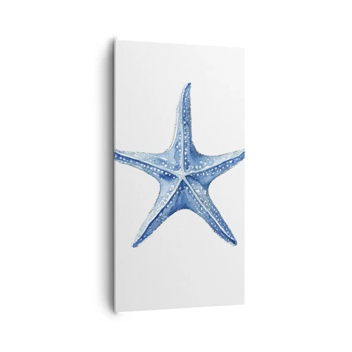 Obraz na plátne - Hviezda mora - 65x120 cm