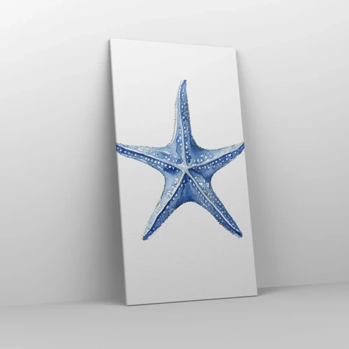 Obraz na plátne - Hviezda mora - 65x120 cm