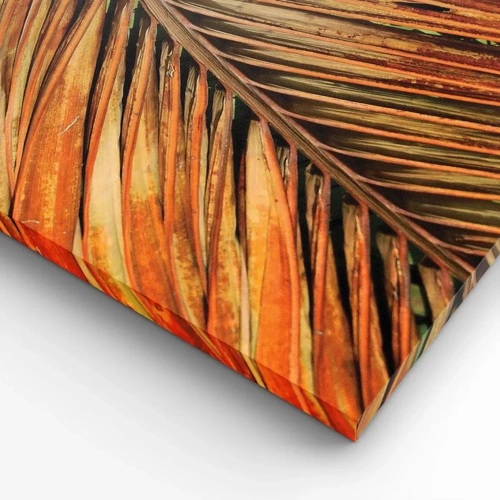 Obraz na plátne - Kokosové zlato - 140x50 cm