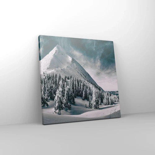 Obraz na plátne - Krajina snehu a ľadu - 30x30 cm