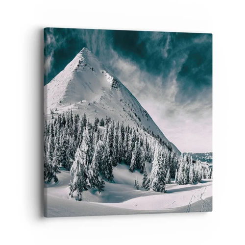 Obraz na plátne - Krajina snehu a ľadu - 40x40 cm
