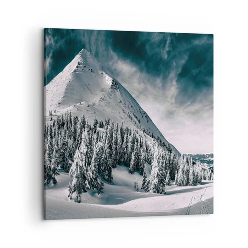 Obraz na plátne - Krajina snehu a ľadu - 50x50 cm