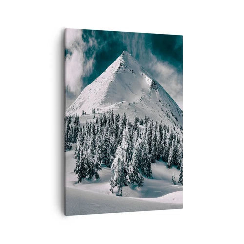 Obraz na plátne - Krajina snehu a ľadu - 50x70 cm