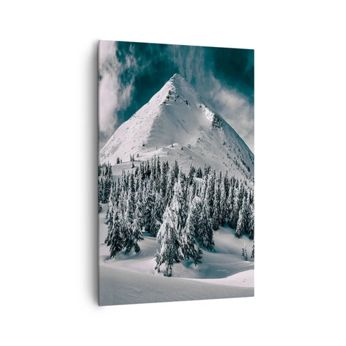 Obraz na plátne - Krajina snehu a ľadu - 80x120 cm