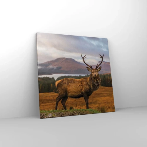 Obraz na plátne - Majestát prírody - 50x50 cm
