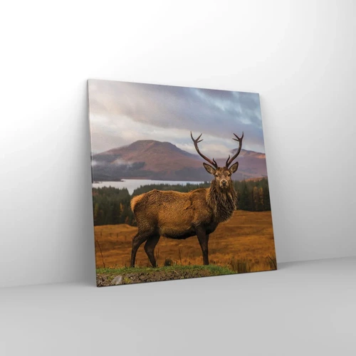 Obraz na plátne - Majestát prírody - 70x70 cm