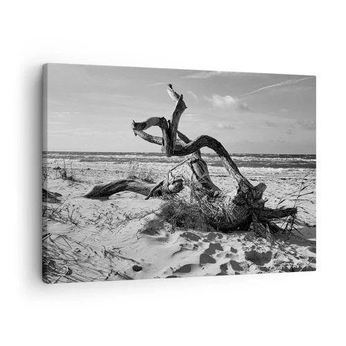 Obraz na plátne - Morská socha - 70x50 cm