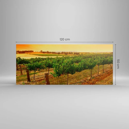 Obraz na plátne - Napiť sa slnka - 120x50 cm