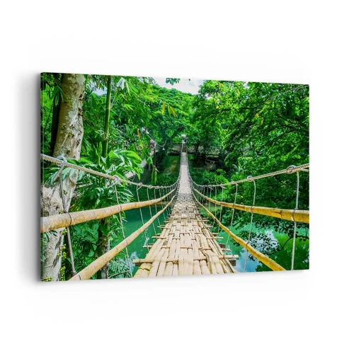 Obraz na plátne - Opičí most nad zeleňou - 100x70 cm
