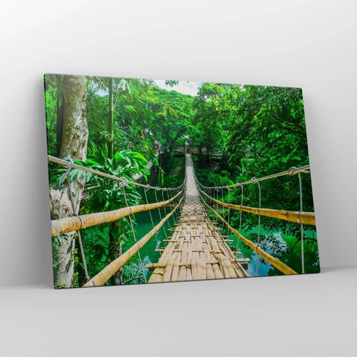 Obraz na plátne - Opičí most nad zeleňou - 100x70 cm