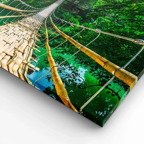 Obraz na plátne - Opičí most nad zeleňou - 80x120 cm