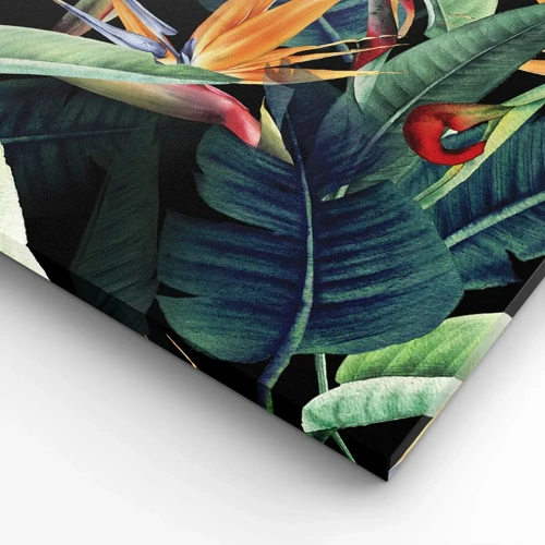 Obraz na plátne - Plamenné kvety trópov - 50x50 cm