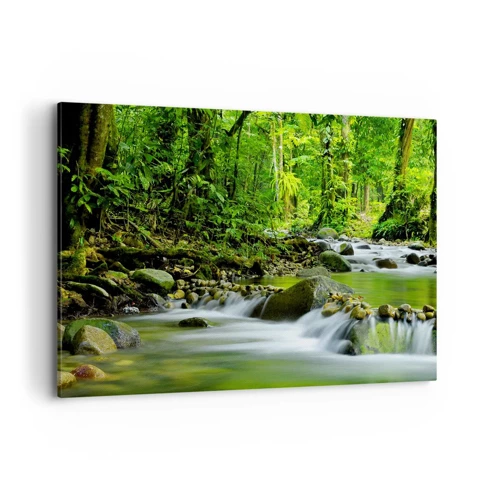 Obraz na plátne - Plávať morom zelene - 100x70 cm