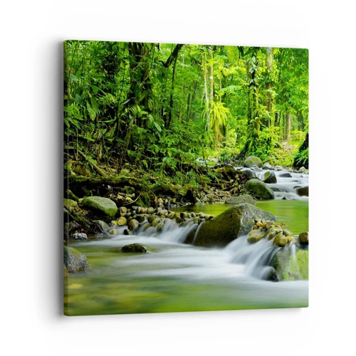Obraz na plátne - Plávať morom zelene - 40x40 cm