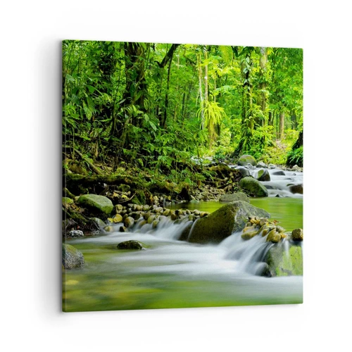 Obraz na plátne - Plávať morom zelene - 50x50 cm