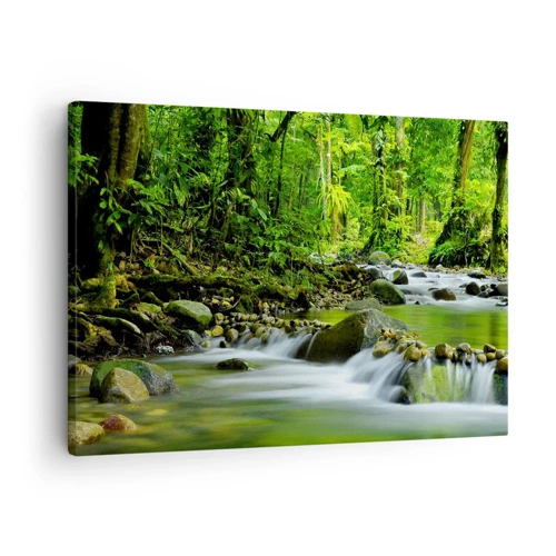 Obraz na plátne - Plávať morom zelene - 70x50 cm