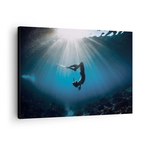 Obraz na plátne - Podvodný tanec - 70x50 cm
