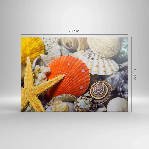 Obraz na plátne - Poklady oceánu - 70x50 cm